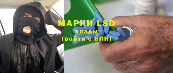 PSILOCYBIN Михайлов