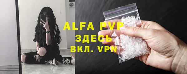 ПСИЛОЦИБИНОВЫЕ ГРИБЫ Заводоуковск