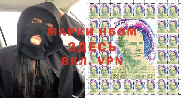 ПСИЛОЦИБИНОВЫЕ ГРИБЫ Заводоуковск