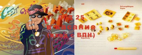 ПСИЛОЦИБИНОВЫЕ ГРИБЫ Заводоуковск