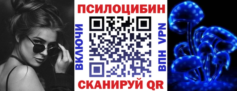 купить   Светлый  Галлюциногенные грибы Psilocybe 